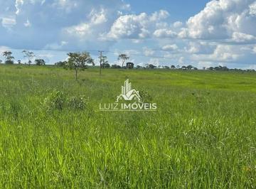 i1.jpg · Vendo Fazenda 1100hectares em Brasilandia de Minas MG