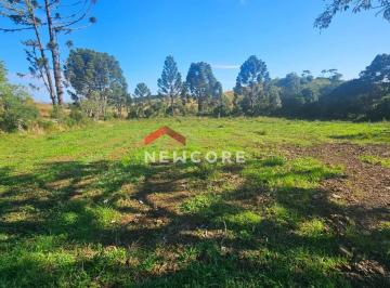 Fazenda em Rs 476 - Rota do Sol - São Francisco de Paula/RS
Campo com 29 hecta · Fazenda em Rs 476 - Rota do Sol - São Francisco de Paula/RS