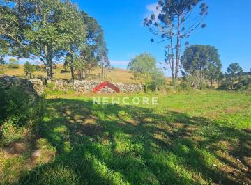 Rural 290000m² Venda · Fazenda em Rs 476 - Rota do Sol - São Francisco de Paula/RS