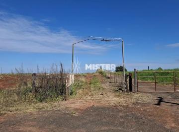 Rural · 134400m² · SÍTIO COM CABECEIRA PARA RODOVIA PR 454 EM ASTORGA - PR