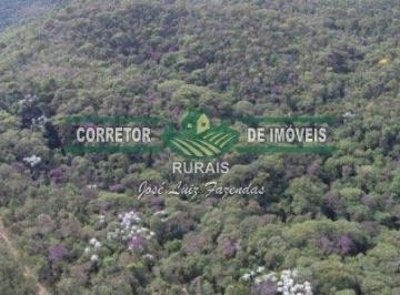 Rural · 250000m² · Rurais à venda - em Olímpio Noronha
