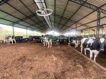 Rural · 520000m² · 3 Quartos · Rurais à venda - em Baependi