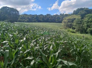 Rural · 800000m² · 3 Quartos · Rurais à venda - em Conceição do Rio Verde