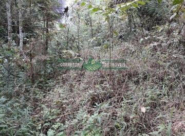 Rural · 560000m² · Rurais à venda - em Bom Jardim de Minas