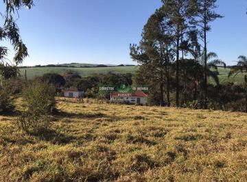 Rural · 300000m² · 3 Quartos · Rurais à venda - na Zona Rural