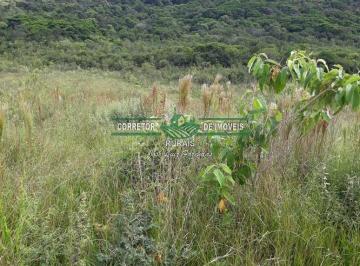 Rural · 260000m² · Rurais à venda - em Arantina