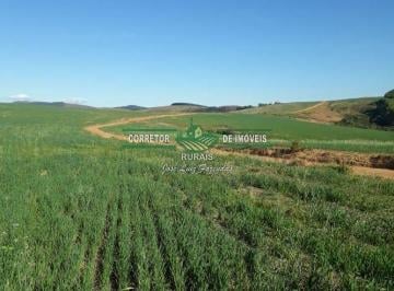 Rural · 6500000m² · 2 Quartos · Rurais à venda - na Zona Rural