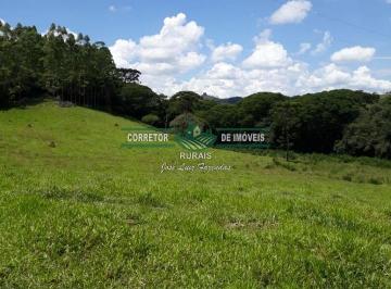Rural · 60000m² · Rurais à venda - na Zona Rural