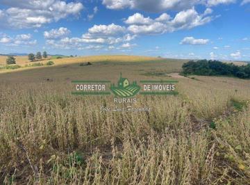 Rural · 3560000m² · 4 Quartos · Rurais à venda - na Zona Rural