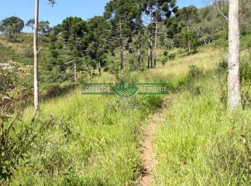 Rural · 260000m² · Rurais à venda - na Zona Rural