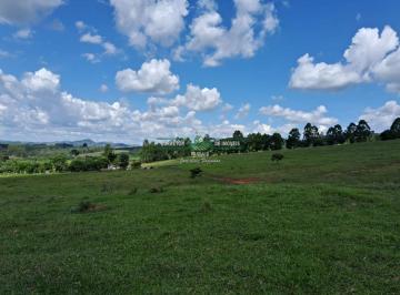 Rural · 1160000m² · 2 Quartos · Rurais à venda - em Conceição do Rio Verde