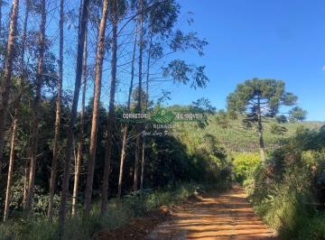 Rural · 2380000m² · 4 Quartos · Rurais à venda - em Carvalhos