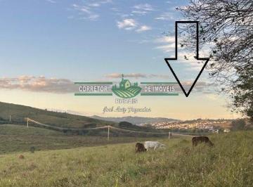 Rural · 20000m² · Rurais à venda - no Centro