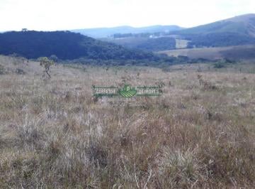 Rural · 1600000m² · Rurais à venda - na Zona Rural