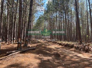 Rural · 1290000m² · Rurais à venda - em Serranos