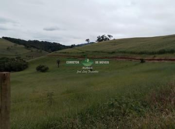 Rural · 1308000m² · Rurais à venda - em Dom Viçoso