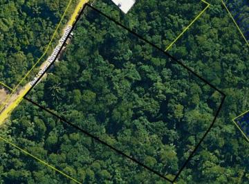 Terreno · 7391m² · Lindo terreno a venda em ilhabela com Perspectiva Para o Verde das Montanhas