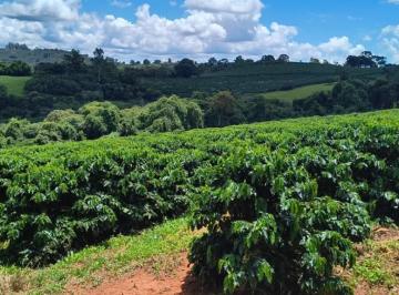 086adb3454d3bfd31f3228a0ed88a0a7.jpg · Fazenda / Sítios / Chácaras à venda em Machado, no bairro Zona Rural