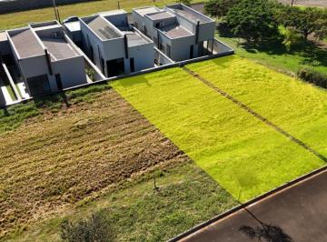 1775493475.jpg · Terreno no Santa Marta com 261 m2 | Só aqui na Imobiliária Rosa e Rangel
