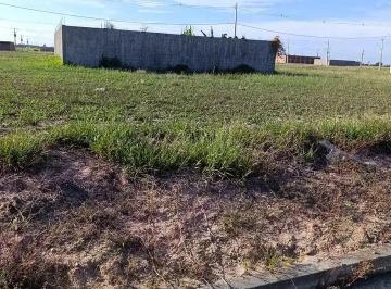 Terreno , Rio Largo · Vendo terreno no loteamento cidade novo jardim
