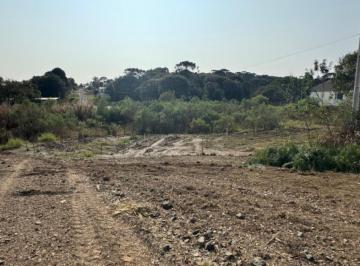 Imagem do bem · TERRENO RURAL DENOMINADO SÍTIO FAZENDA RIO SECO, PAPANDUVA