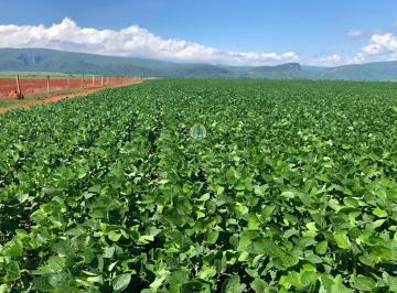 Rural · 49937m² · Fazenda à venda em Nova Ubiratã/MT