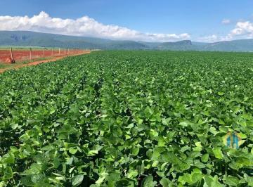Rural · 49937m² · Fazenda à venda em Nova Ubiratã/MT