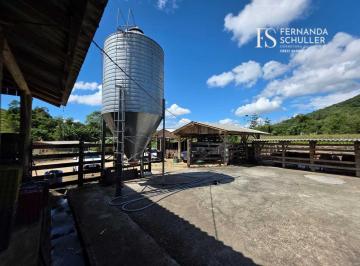 Terreno · 20000m² · Terreno à venda no bairro Rio Farias - Antônio Carlos/SC