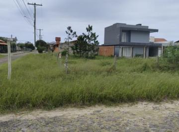 946560.jpg · Terreno - Bairro Arroio Teixeira