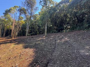 1.jpg · 
									Sítio / Chácara para Venda em Santa Maria do Herval -2 Hectares + Vista Incrível + Próximo