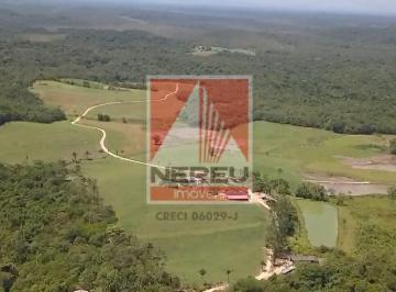 Rural · 230ha · Linda Fazenda Produtiva à Venda – Especializada em Feno | 230 Hectares