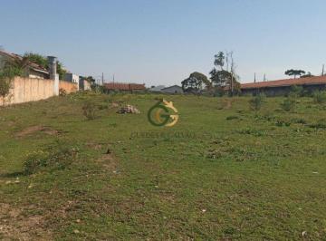 Terreno · 6050m² · Terreno à venda, 6050 m² por R$ 2.400.000 - Campo