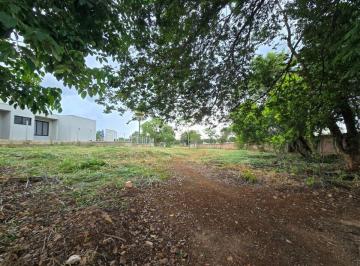 Terreno , Lagoa Santa · Terreno de 1100 m² à Venda no Condomínio Vitória Golf