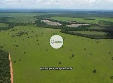 Rural , Paracatu · Fazenda a venda em Paracatu-MG - 1.260 Hectares - 900 ha de pasto formado