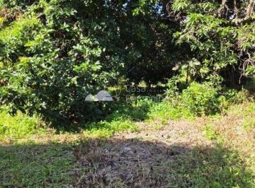 3605_iE65lOFL8R7mL712X_360569d554e07419d.jpg · Lote 360m Santa Amélia