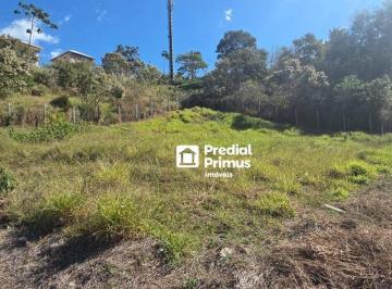 Terreno · 613m² · Terreno em Cônego, Nova Friburgo/RJ de 0m² à venda por R$ 590.000,00
