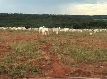 Imagem 1 · Fazenda