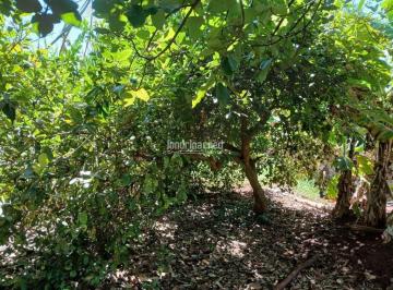 vrcsxci2ytiwmjzizdezodg0_md · Chácara à Venda em Recanto Primaveira, Alvorada do Sul - PR