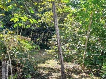 Terreno · 250m² · TERRENO COM 250 M² - MORUMBI II