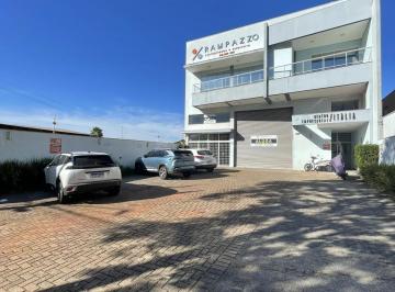 Comercial · 557m² · Salão comercial - Avenida Arquiteto Nildo Ribeiro da Rocha.