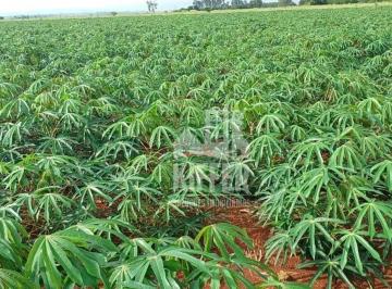 7da11b2b6c49ffe64b479e21072999acb34f5012 · FAZENDA DE ALTO PADRÃO – PECUÁRIA TECNIFICADA E SOLO PREMIUM