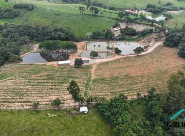 Rural · 84000m² · 2 Quartos · Sítio completo à venda – estrutura produtiva + natureza abundante!