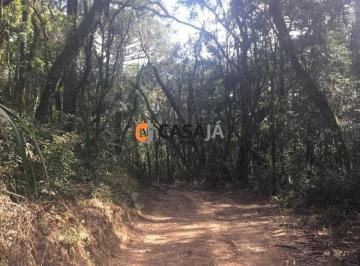 Foto 01 · Chacara, Herval do Papuã, Contenda, PR