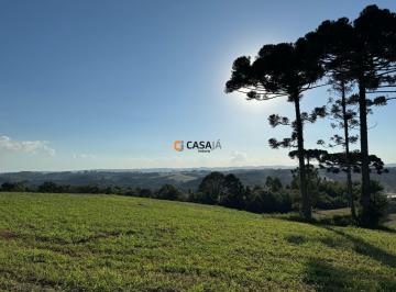 Foto 01 · Terreno, Rodeio Santo Antonio, Balsa Nova, PR