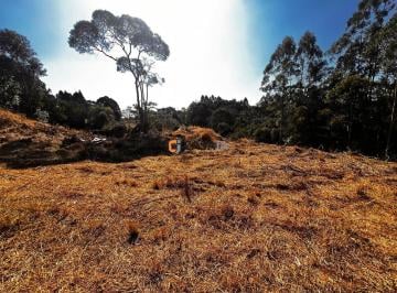 Foto 01 · Terreno, Vila Delurdes, Campo Largo, PR