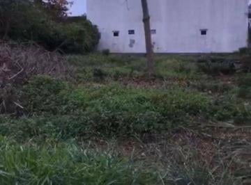 9553b1fe157a272087b2204ea4d5d41d5a88016b · Terreno à venda, 576 m² por R$ 550.000,00 - Daniela - Florianópolis/SC