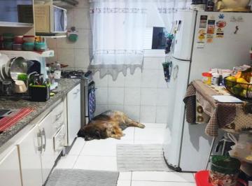 v4264a.jpg · Apartamento para Venda 65m² - Edificio Orquídea - 2 dormitórios - Osasco/SP