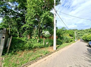 Foto 08 · Terrenos planos no Perequê Ilhabela a 800m da praia com escritura definitiva