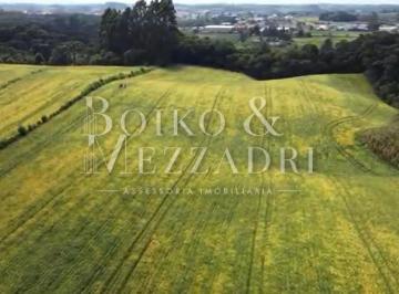 Rural · 218000m² · Fazenda 9 alqueires em contenda