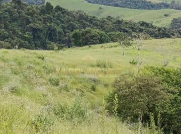 Imagem 1 · Fazenda